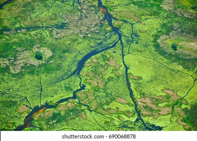 Aerial View Of Okavango Delta River 