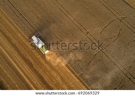 Similar – A combine harvester is harvesting grain crops on a cornfield in the evening sun seen from above