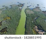 Aerial view on distributary channel Danube river flowing into the Black Sea. Danube delta. River flowing into the Sea