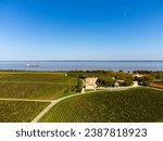 Aerial view on green vineyards, Gironde river, wine domain or chateau in Haut-Medoc red wine making region, , Bordeaux, left bank of Gironde Estuary, France