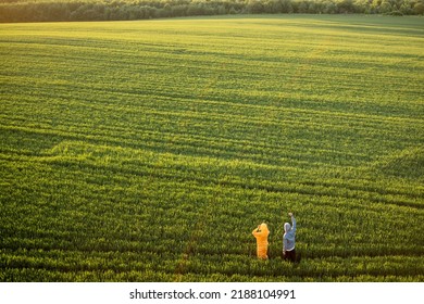 Aerial View On Green Wheat Field With Couple Walking On Pathway On Sunset. People Enjoy Nature On Farmland. Wide Landscape With Copy Space