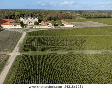 Aerial view on left bank of Gironde Estuary with green vineyards with red Cabernet Sauvignon grape variety of famous Haut-Medoc red wine making region in Margaux, Bordeaux, France