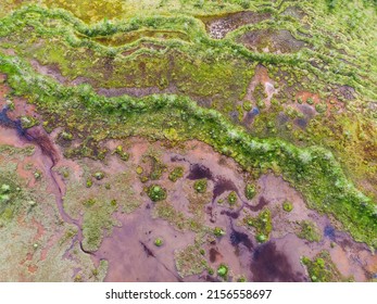 Aerial View On Natural Swamp From Above, Wild Nature Background - Karelia Region, Russia