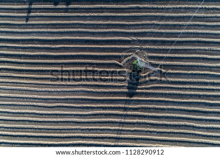 Aerial view on the powerline on the field with rows