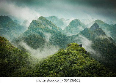 Aerial View On A Rain Forest