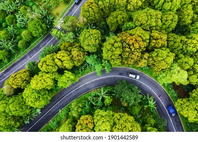 Aerial view on road in the forest. Highway through the forest. View from a drone. Natural landscape in summer time from air. Travel and vacation image