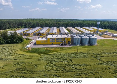 Aerial View On Silos And Agro-industrial Livestock Complex On Agro-processing And Manufacturing Plant With Modern Granary Elevator. Chicken Farm. Rows Of Chicken Coop