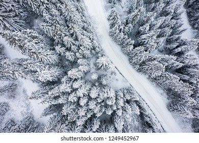 Aerial view on snowy road in winter forest. Christmas holiday background. Frosty fir trees - Powered by Shutterstock