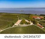 Aerial view on vineyards, Gironde river, wine domain or chateau, Haut-Medoc red wine making region, Bordeaux, left bank of Gironde Estuary, France