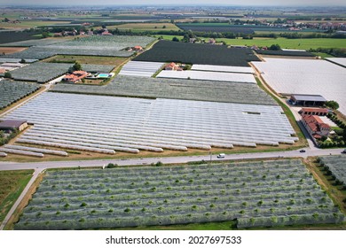 Aerial view of orchard fields protected with anti-hail nets in Italy