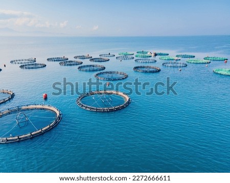 Aerial view over large fish farm with lots of fish enclosures. Aerial view