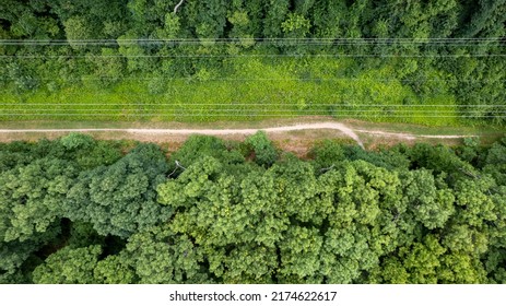 An Aerial View Over A Large Tower And Electrical Power Lines In The Midst Of Tall Green Trees On A Sunny Morning On Long Island, NY.