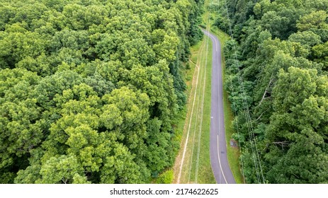 An Aerial View Over A Large Tower And Electrical Power Lines In The Midst Of Tall Green Trees On A Sunny Morning On Long Island, NY.