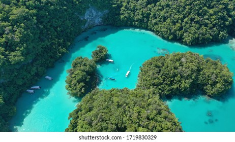 Aerial View Over Palau Milky Water, A Normal Stop For Swimming Enroute To The Jelly Fish Lake.