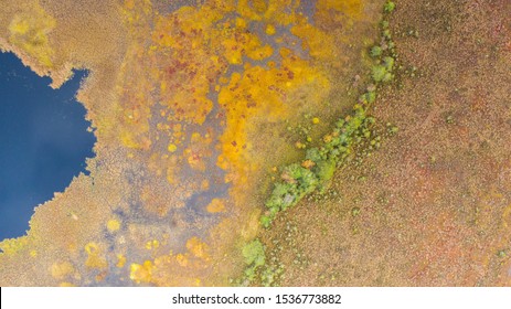 Aerial View Over Peat-bog Landscape With The Complex Lake And  Pool Ridge Patterns. Estonia Is 2nd Most Boggy Country In Europe. Peatland Are Important As Pool Of Biodiversity And CO2 Deposit.