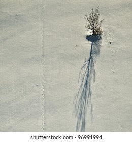 Aerial View Over The Snowy Field And Single Tree With Long Shadow