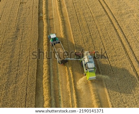 Similar – A combine harvester is harvesting grain crops on a cornfield in the evening sun seen from above