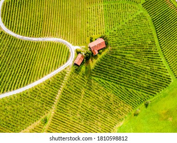 Aerial view over vineyard fields. Rolling hills nature landspace. Dreisiebner,slovenia , europe vineyard with Heart shaped wine road. - Powered by Shutterstock