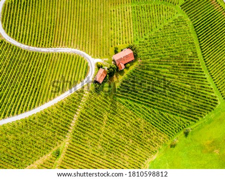 Aerial view over vineyard fields. Rolling hills nature landspace. Dreisiebner,slovenia , europe vineyard with Heart shaped wine road.