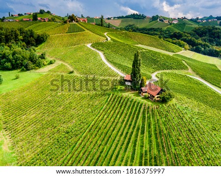 Aerial view over vineyard fields. Rolling hills nature landspace. Dreisiebner,slovenia , europe vineyard with Heart shaped wine road.