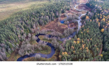 Aerial view over wild landscape with the winding river with narrow natural floodplain and autumn colored trees in natural riparian and coniferous forest in Lahemaa national park, Estonia - Powered by Shutterstock