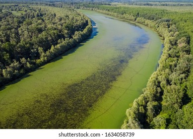 Aerial View Of The Oxbow Lake Of The Drava River, Croatia