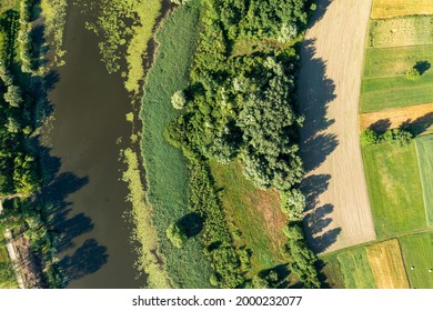 Aerial View Of The Oxbow Lake Of The Drava River, Croatia