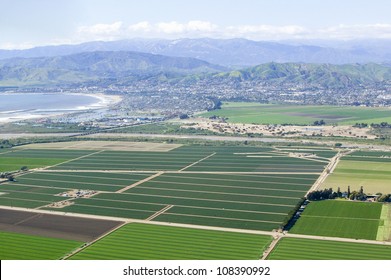 Aerial view of Oxnard farm fields in spring  Ventura County, California