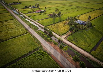 Aerial View Of Paddy Field With Farmers Housing