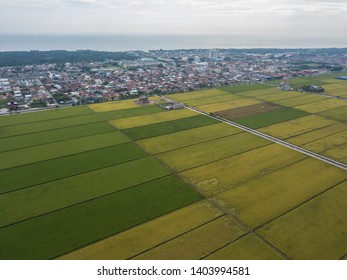 Aerial View Paddy Fields Sekinchan Selangor Stock Photo 1403994581 ...