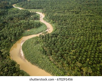 Aerial View - Palm Oil Plantation and a river running through the estate.