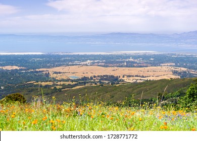 Aerial view of Palo Alto, Stanford University, Redwood City and Menlo Park, part of Silicon Valley; wildflower field visible in the foreground; San Francisco Bay Area, California