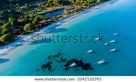 Aerial view of Palombaggia Beach in the South of Corsica, France - Famous pine tree forest on the island of Corsica, near the turquoise waters of the Mediterranean Sea