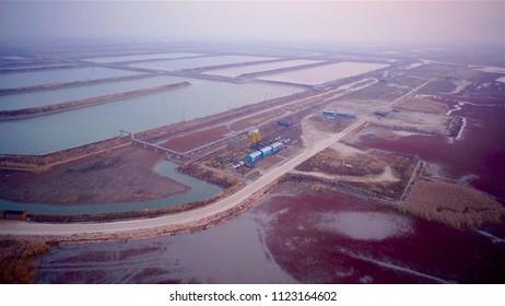 Aerial View Panjin Red Beach Landscape, Liaoning, China      