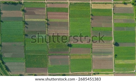 Aerial view of patchwork agricultural fields from drone, Georgia