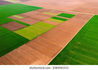 Aerial view of patchwork fields and mosaic cultivated lands on a sunny day. Top view, drone shot. Agro-industrial culture. Various types agricultural cultures. Photo wallpaper. Beauty of earth.