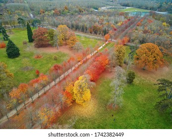 Aerial View Of Path Through Colorful Autumn Forest In Versailles Near Paris, France