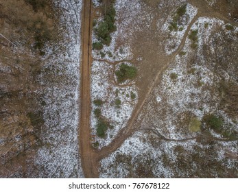 Aerial view of paths in forest during winter. Snow covered ground.