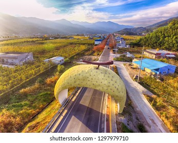 Aerial View Of Pear Farm Street In Hadong,, Gyeongnam, South Korea, Asia