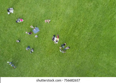 Aerial View Of The People At A Picnic In A Summer Park