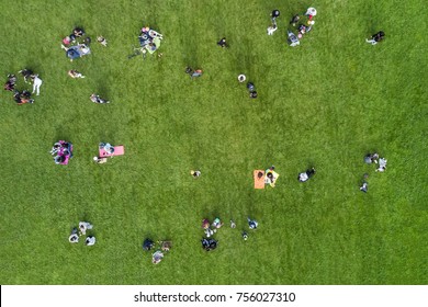 Aerial View Of The People Are Resting On The Lawn In The Park