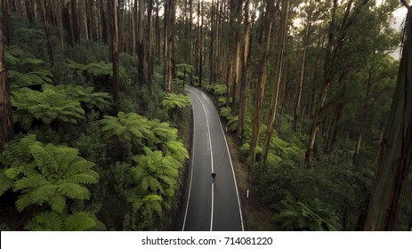 Aerial View of Person Standing on Road Through Beautiful Forest in Black Spur Australia Stock Photo
