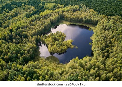 Aerial view of a picturesque lake in the depths of a green forest - Powered by Shutterstock