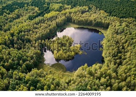 Aerial view of a picturesque lake in the depths of a green forest