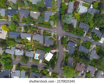 Aerial view. Picturesque small town, suburb. A lot of greenery, developed infrastructure. Topography, map, real estate, construction, housing, ecology, infrastructure.