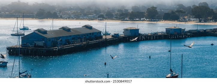 Aerial view of a pier with rustic buildings in Monterey Bay, California. Sailboats are anchored nearby, with seagulls flying over the water. - Powered by Shutterstock