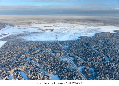 Aerial view of pine forest during a winter day. 