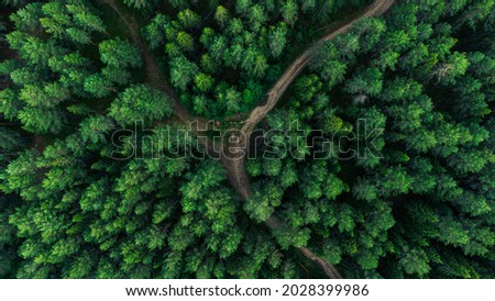 Aerial view of pine forest. Forest top view. Drone view of a greenery forest with a dirt road. Macro shot of pine forest. Aerial view of a road through the woods. Aerial landscape of green pine woods.