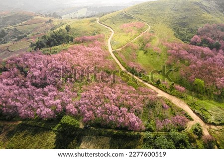 Similar – Image, Stock Photo Aerial View Spring Green Field And Forest Landscape. Top View Of Field And Forest Belt. Bird’s Eye View