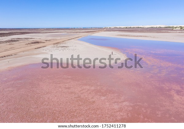 Aerial view of\
the Pink lakes of South\
Australia